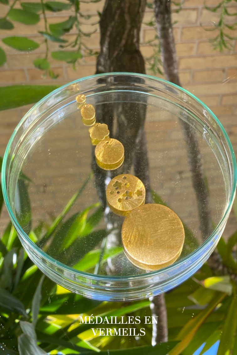 Clip &amp; Go pendant: vermeil medals