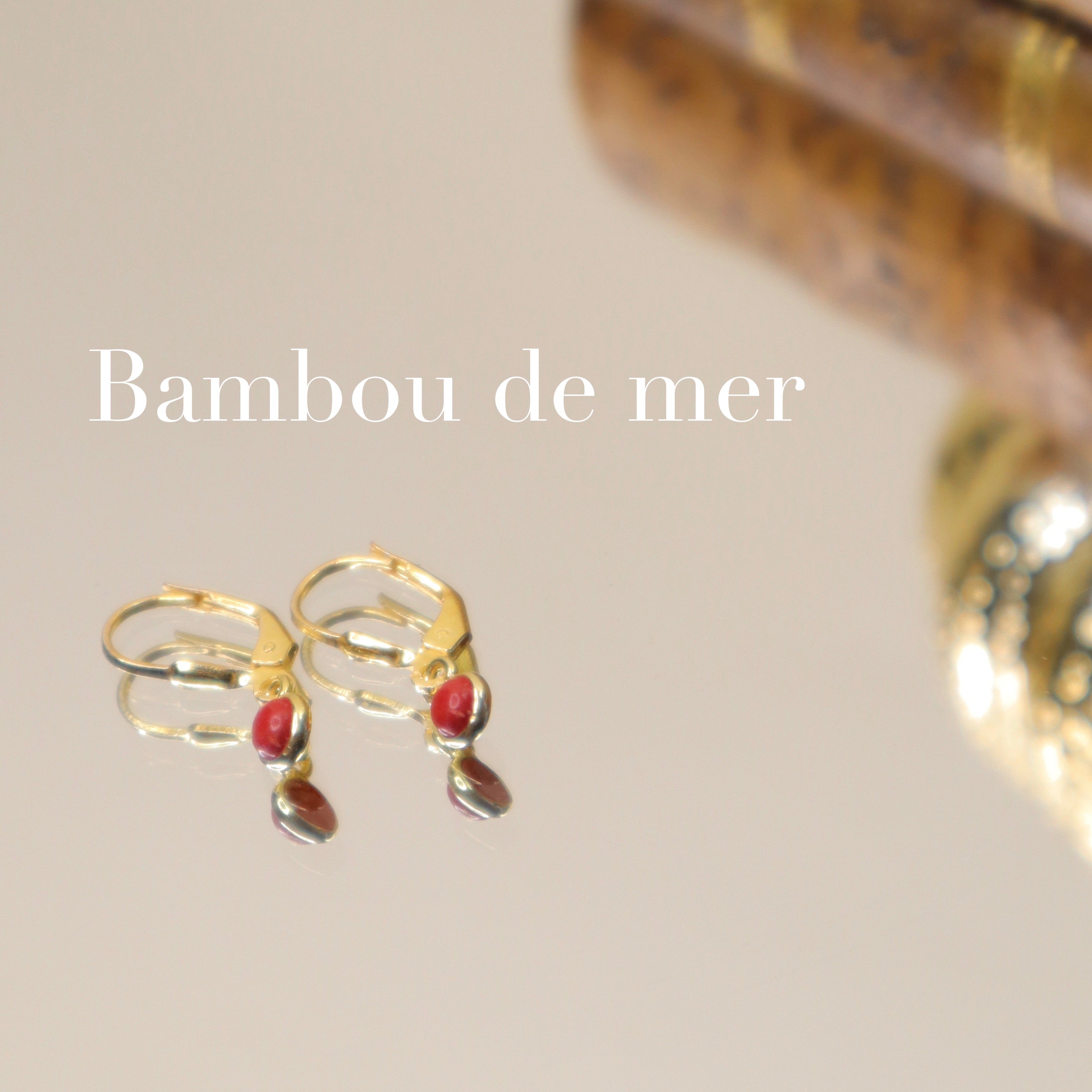 Boucles d'oreilles mini bambou de mer 